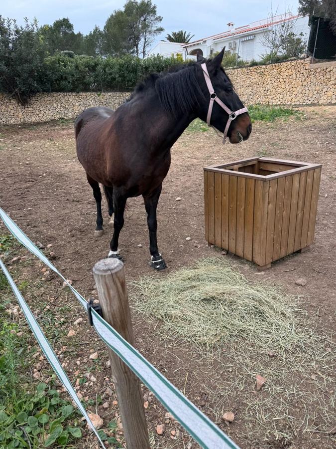 Foto van Finca Vellie