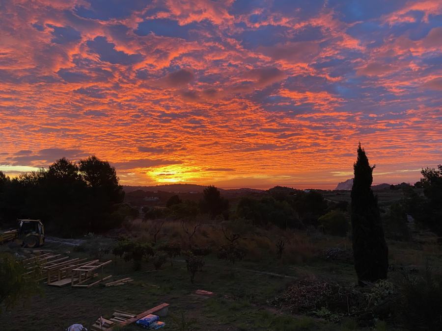 Foto van Finca Vellie