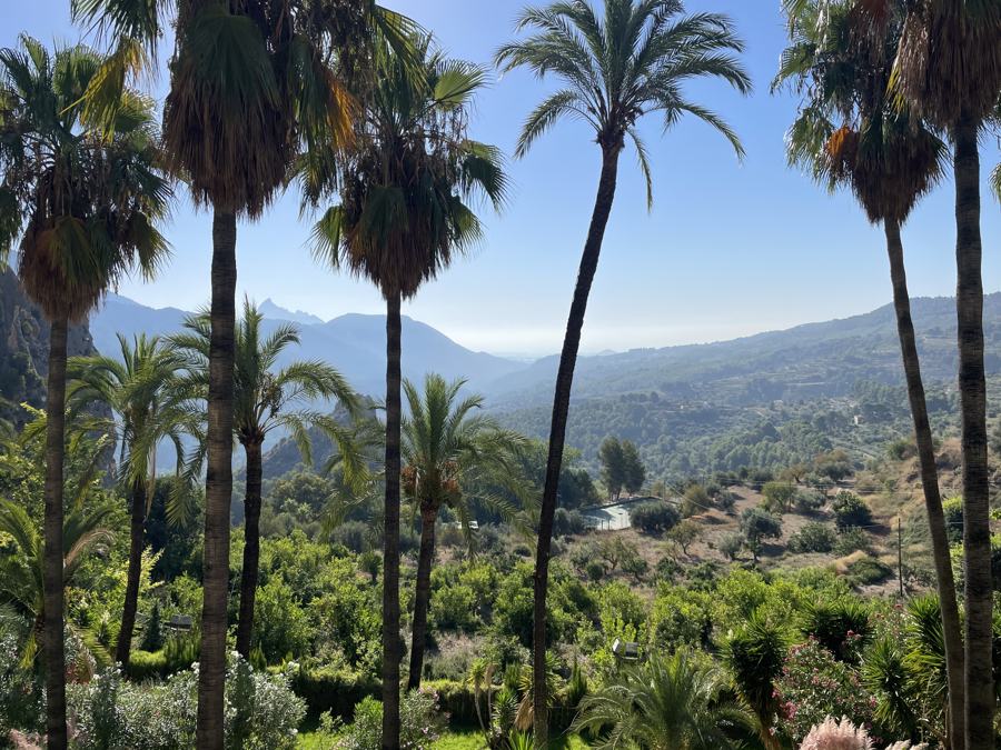 Foto van Finca Vellie